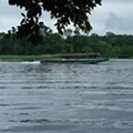 010 Costa Rica - Tortuguero.jpg